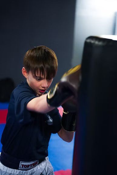 Prestige Martial Arts photo 4