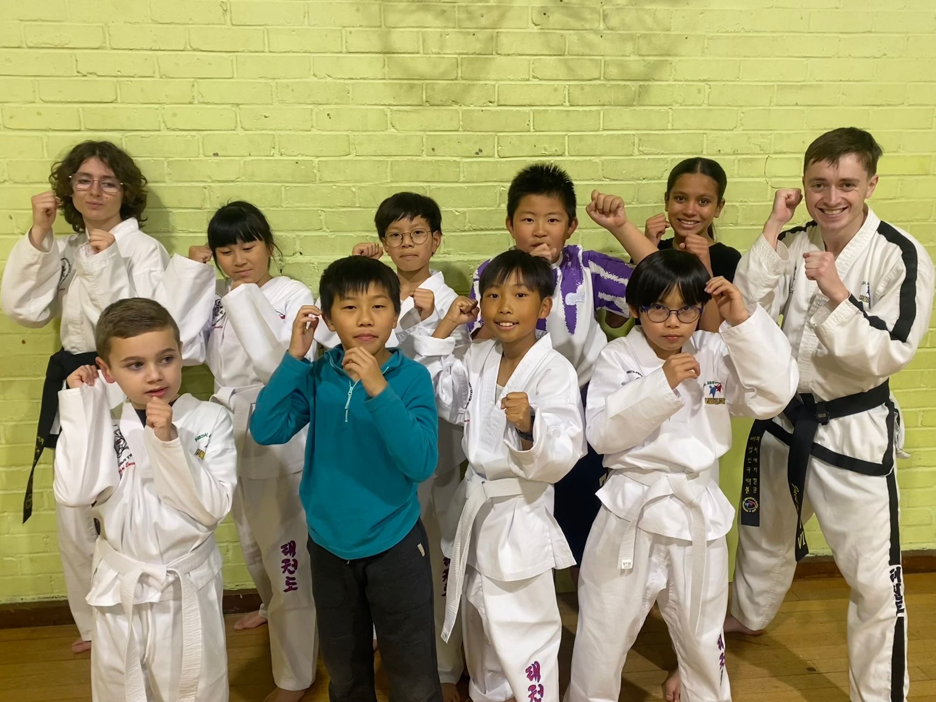 Junior Taekwondo Class