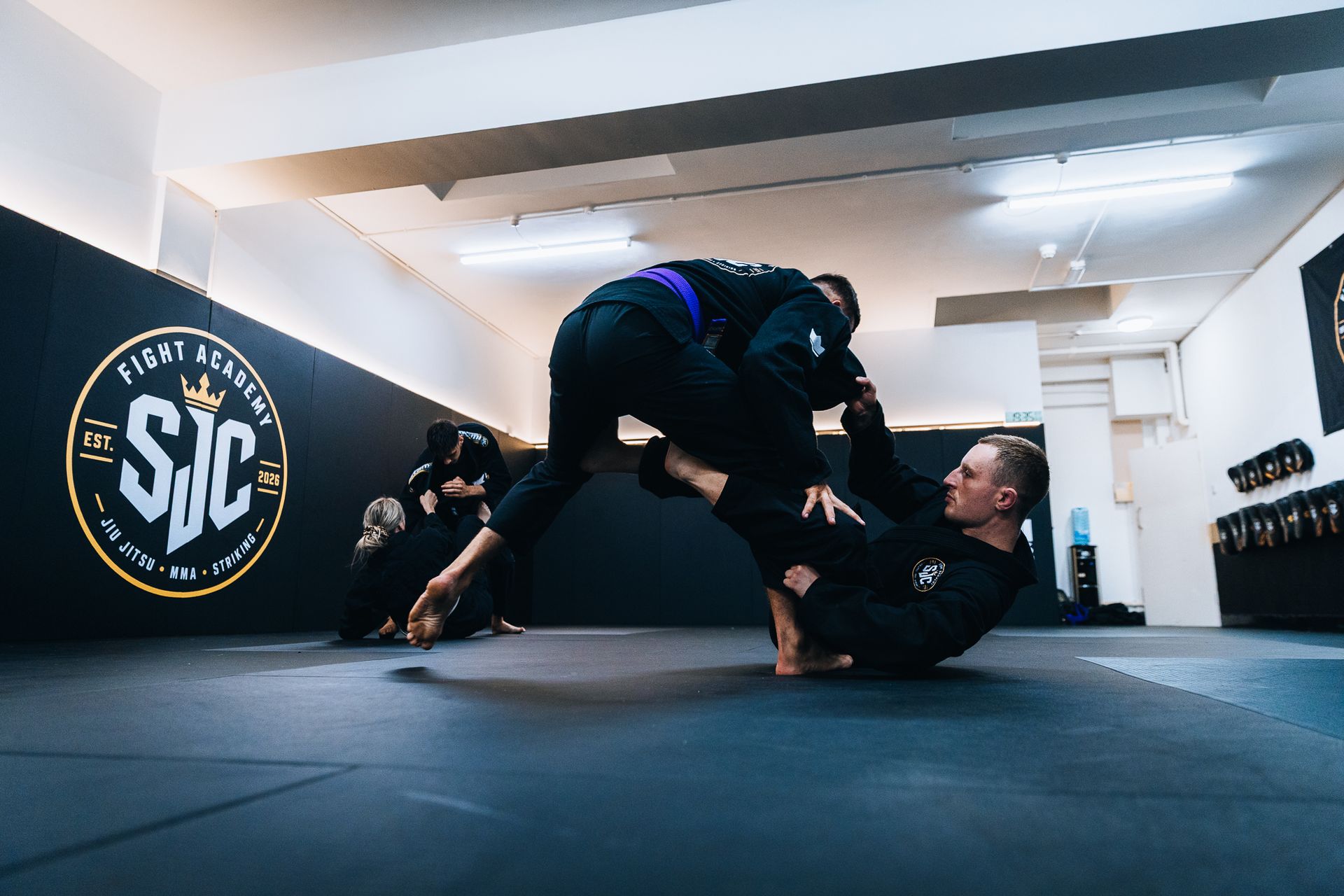 BJJ Beginners & Fundamentals
