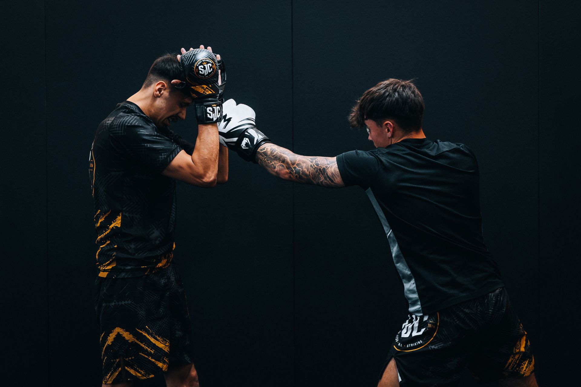 Muay Thai / Kickboxing